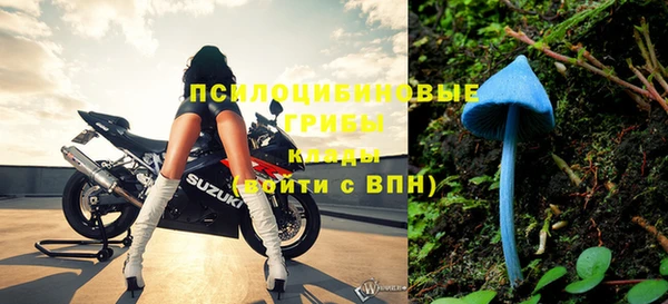 синтетический гашиш Ельня