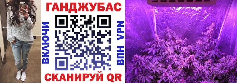 Конопля гибрид  Пикалёво 